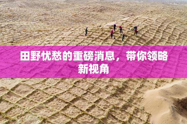 田野忧愁的重磅消息，带你领略新视角