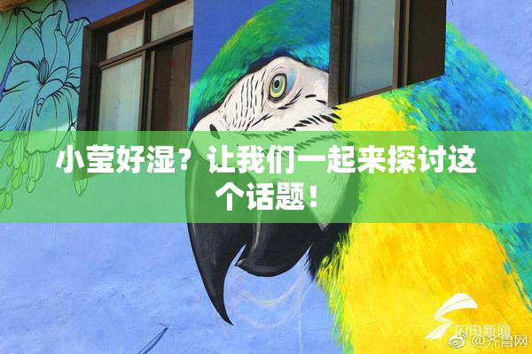 小莹好湿？让我们一起来探讨这个话题！