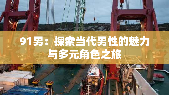 91男：探索当代男性的魅力与多元角色之旅