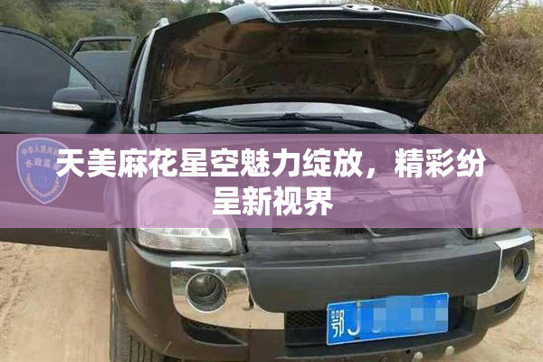 天美麻花星空魅力绽放，精彩纷呈新视界
