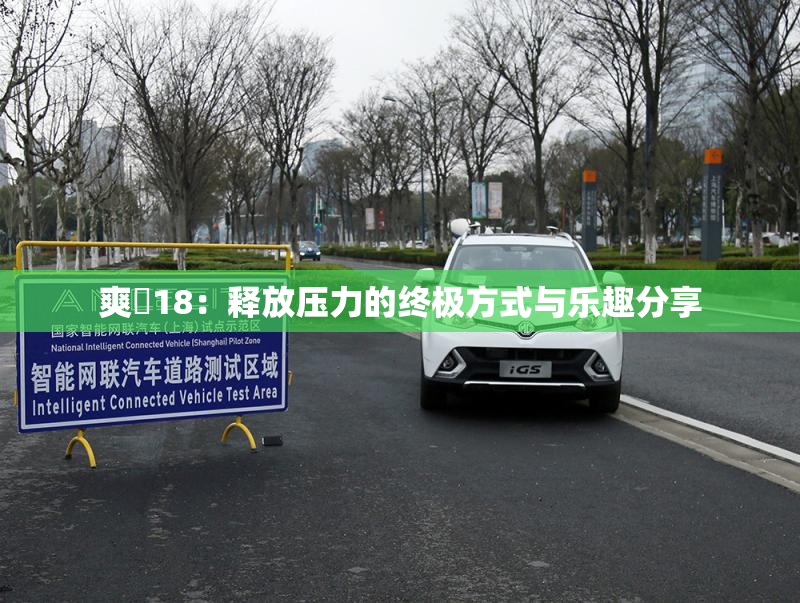 爽擼18：释放压力的终极方式与乐趣分享