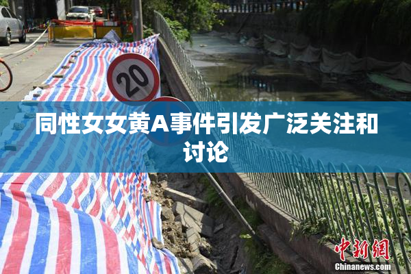 同性女女黄A事件引发广泛关注和讨论