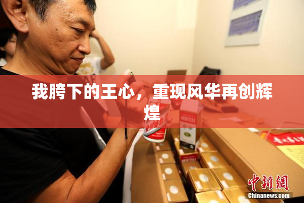 我胯下的王心，重现风华再创辉煌