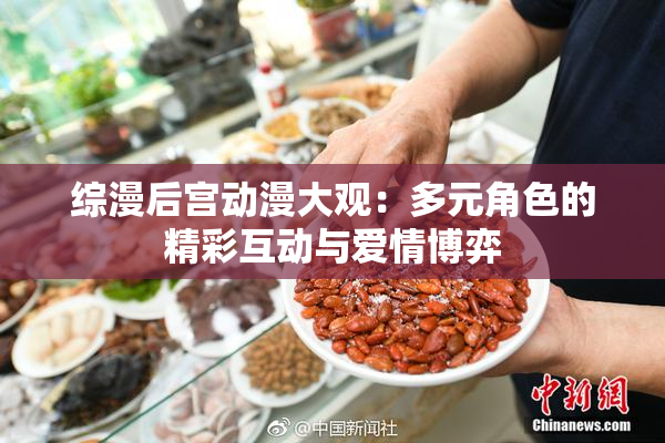 综漫后宫动漫大观：多元角色的精彩互动与爱情博弈