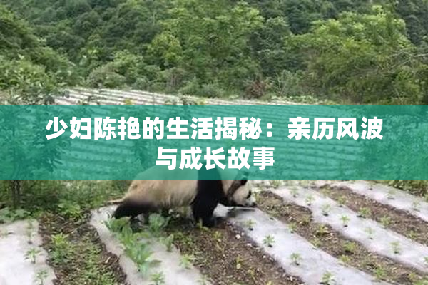 少妇陈艳的生活揭秘：亲历风波与成长故事