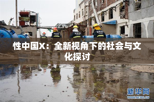 性中国X：全新视角下的社会与文化探讨