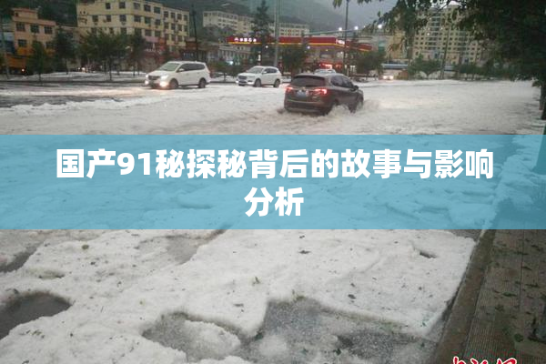 国产91秘探秘背后的故事与影响分析