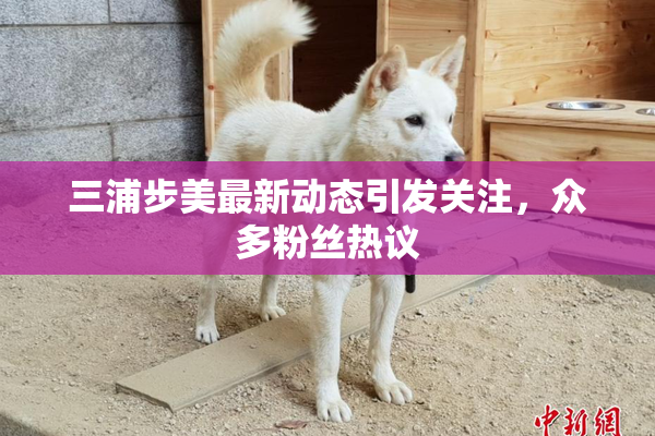 三浦步美最新动态引发关注，众多粉丝热议