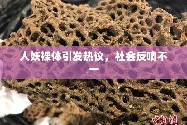 人妖裸体引发热议，社会反响不一