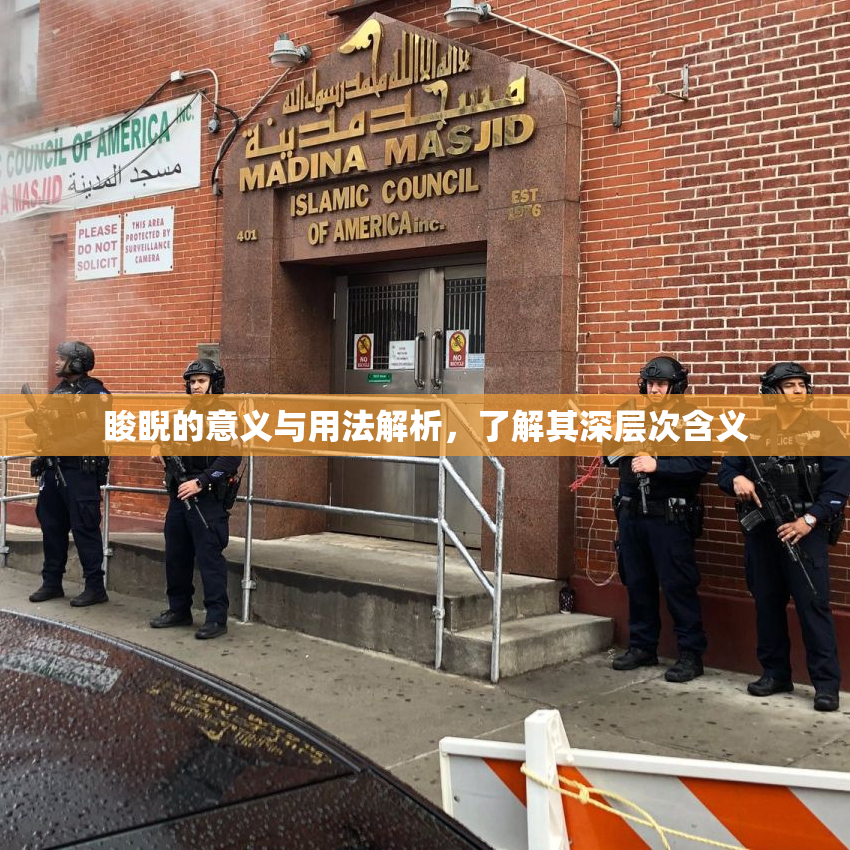 睃睨的意义与用法解析，了解其深层次含义