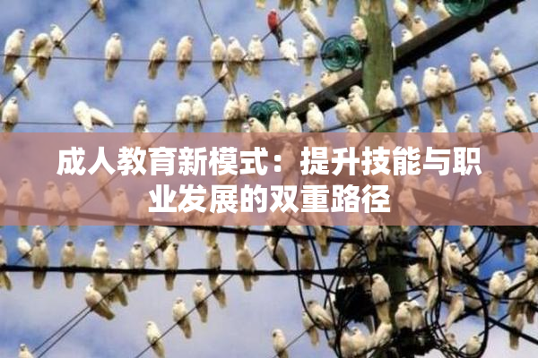 成人教育新模式：提升技能与职业发展的双重路径