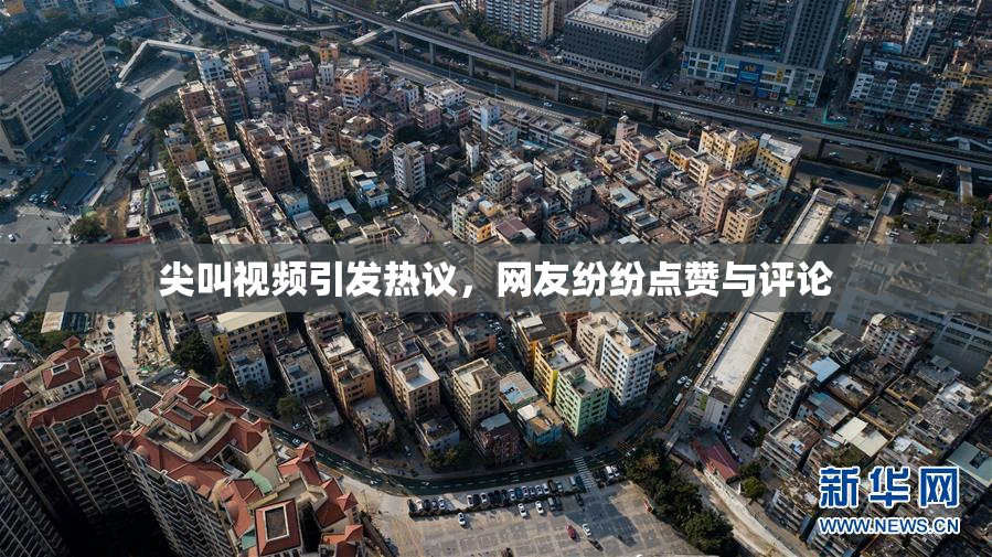 尖叫视频引发热议，网友纷纷点赞与评论