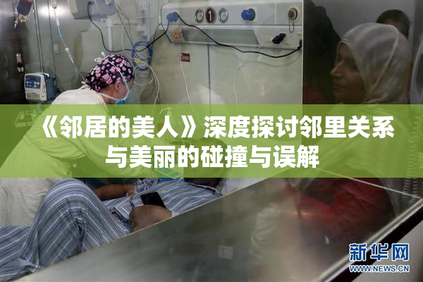 《邻居的美人》深度探讨邻里关系与美丽的碰撞与误解
