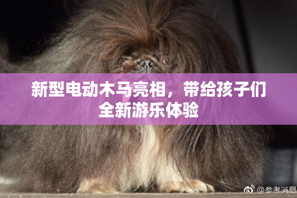 新型电动木马亮相，带给孩子们全新游乐体验