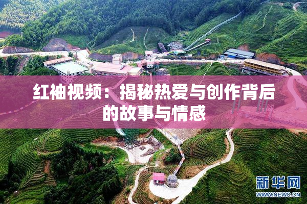 红袖视频：揭秘热爱与创作背后的故事与情感