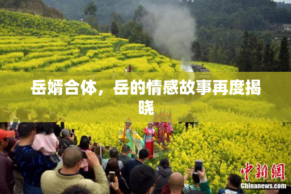 岳婿合体，岳的情感故事再度揭晓