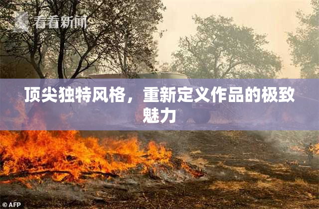 顶尖独特风格，重新定义作品的极致魅力