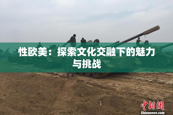 性欧美：探索文化交融下的魅力与挑战