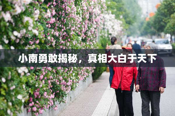 小南勇敢揭秘，真相大白于天下