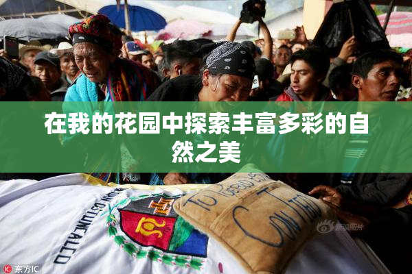 在我的花园中探索丰富多彩的自然之美