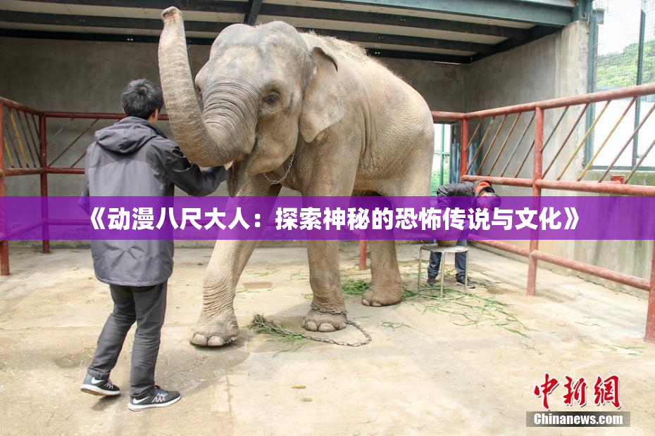 《动漫八尺大人：探索神秘的恐怖传说与文化》