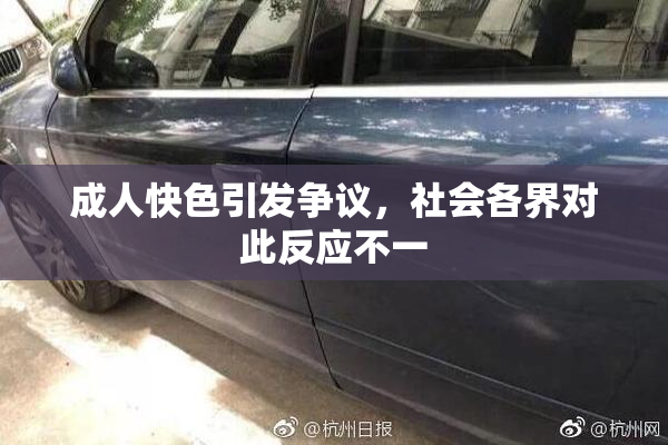 成人快色引发争议，社会各界对此反应不一