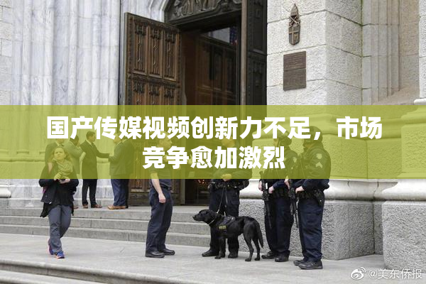 国产传媒视频创新力不足，市场竞争愈加激烈