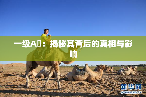 一级A婬：揭秘其背后的真相与影响