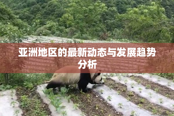 亚洲地区的最新动态与发展趋势分析