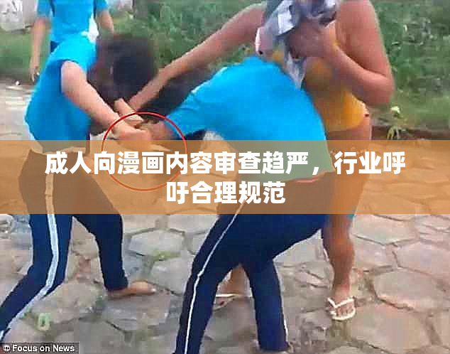 成人向漫画内容审查趋严，行业呼吁合理规范