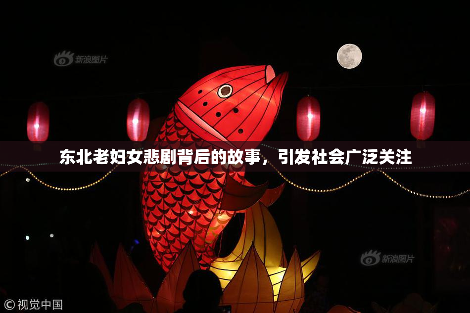 东北老妇女悲剧背后的故事，引发社会广泛关注