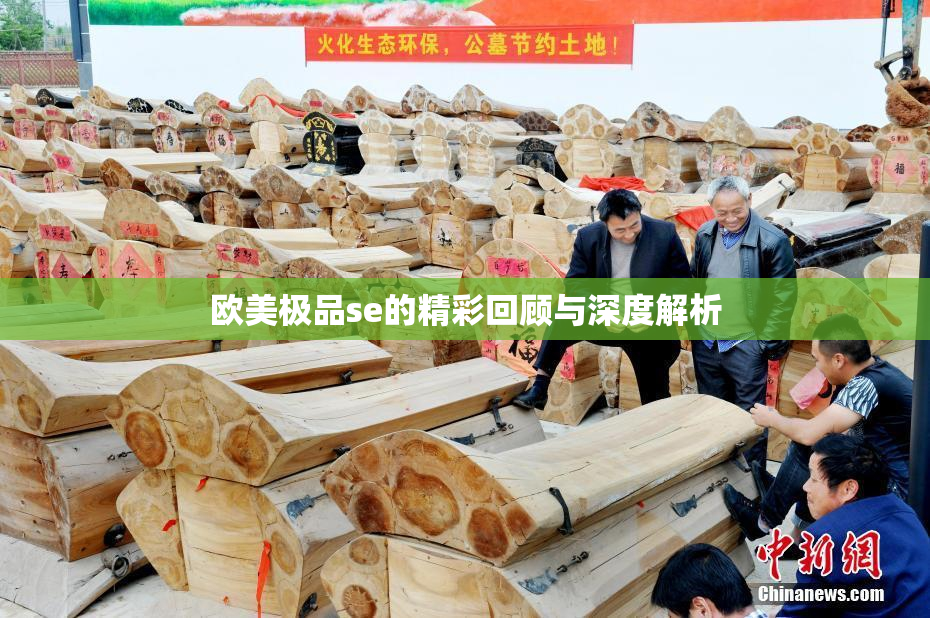欧美极品se的精彩回顾与深度解析