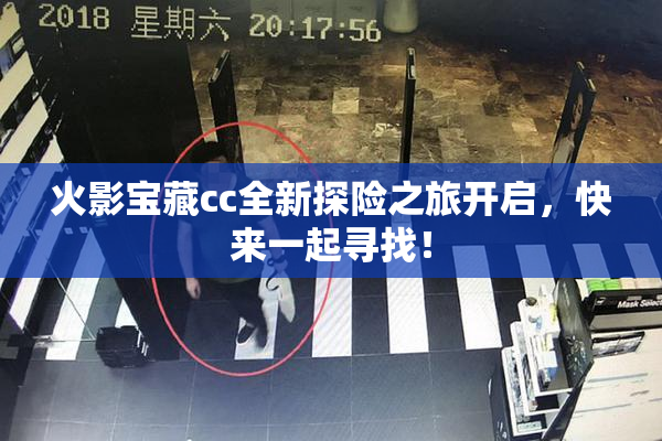 火影宝藏cc全新探险之旅开启，快来一起寻找！