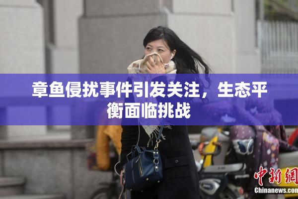 章鱼侵扰事件引发关注，生态平衡面临挑战