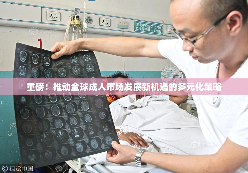 重磅！推动全球成人市场发展新机遇的多元化策略