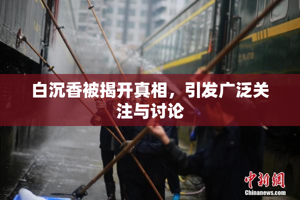 白沉香被揭开真相，引发广泛关注与讨论