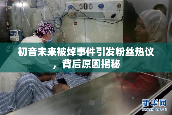 初音未来被焯事件引发粉丝热议，背后原因揭秘