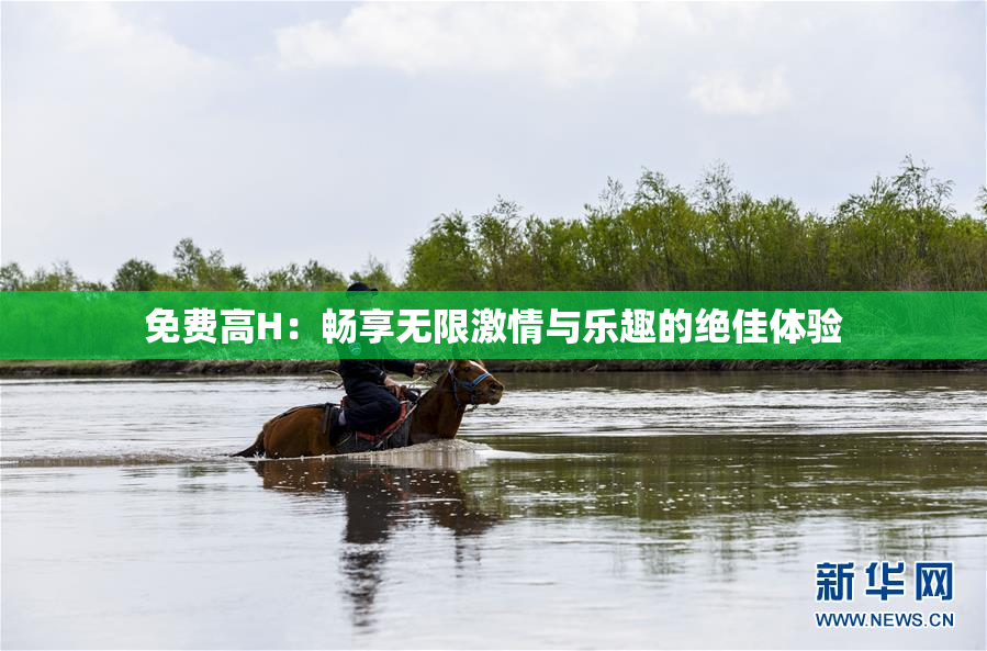 免费高H：畅享无限激情与乐趣的绝佳体验