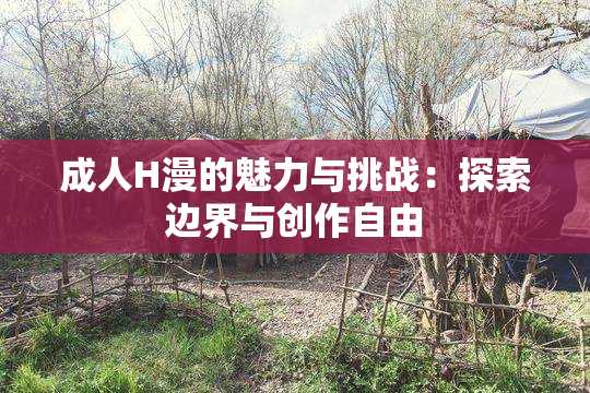 成人H漫的魅力与挑战：探索边界与创作自由