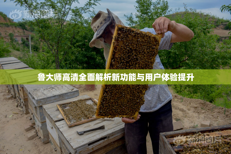 鲁大师高清全面解析新功能与用户体验提升