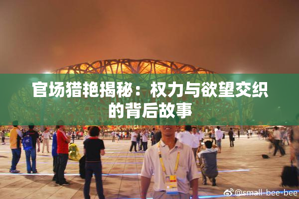 官场猎艳揭秘：权力与欲望交织的背后故事