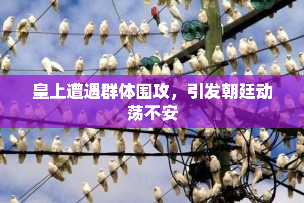 皇上遭遇群体围攻，引发朝廷动荡不安