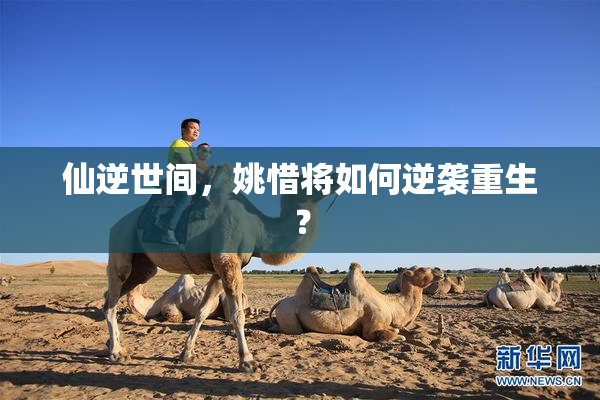 仙逆世间，姚惜将如何逆袭重生？
