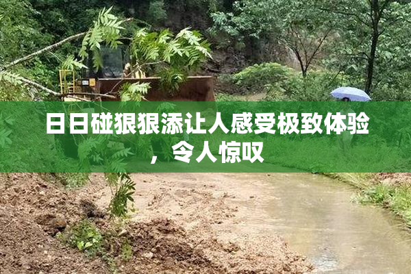 日日碰狠狠添让人感受极致体验，令人惊叹