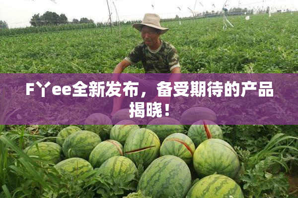 F丫ee全新发布，备受期待的产品揭晓！