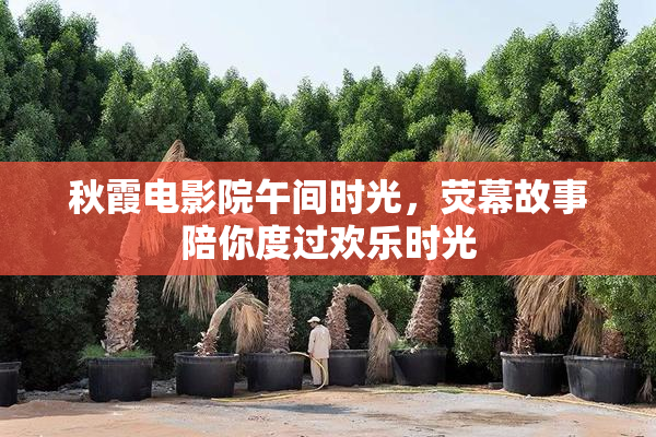 秋霞电影院午间时光，荧幕故事陪你度过欢乐时光