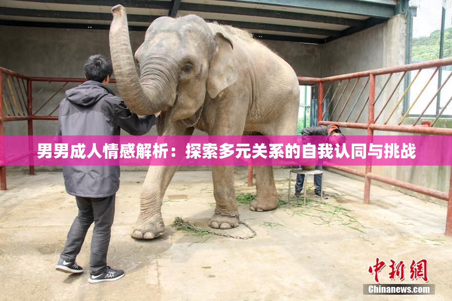 男男成人情感解析：探索多元关系的自我认同与挑战