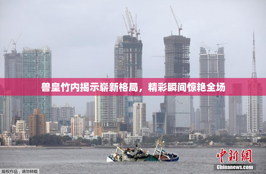 兽皇竹内揭示崭新格局，精彩瞬间惊艳全场