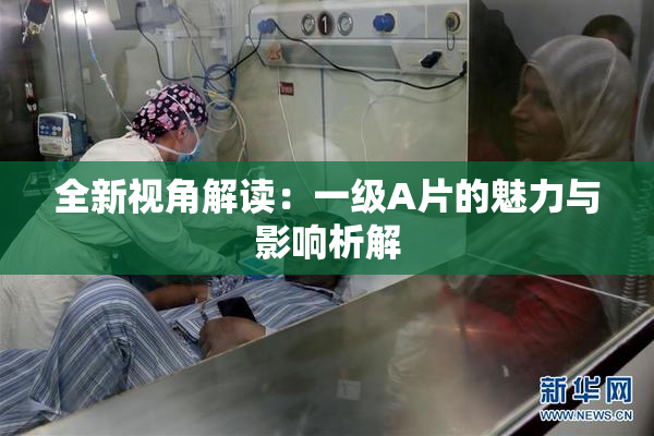 全新视角解读：一级A片的魅力与影响析解