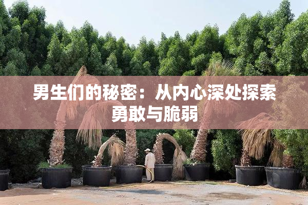 男生们的秘密：从内心深处探索勇敢与脆弱